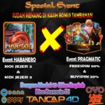 Tancap4D on Tumblr